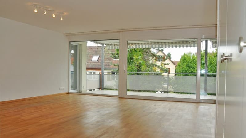 Grosszügige 5.5 Zimmerwohnung im Emmersberg (3)