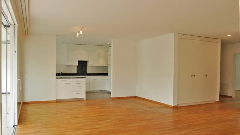 Grosszügige 5.5 Zimmerwohnung im Emmersberg (4)