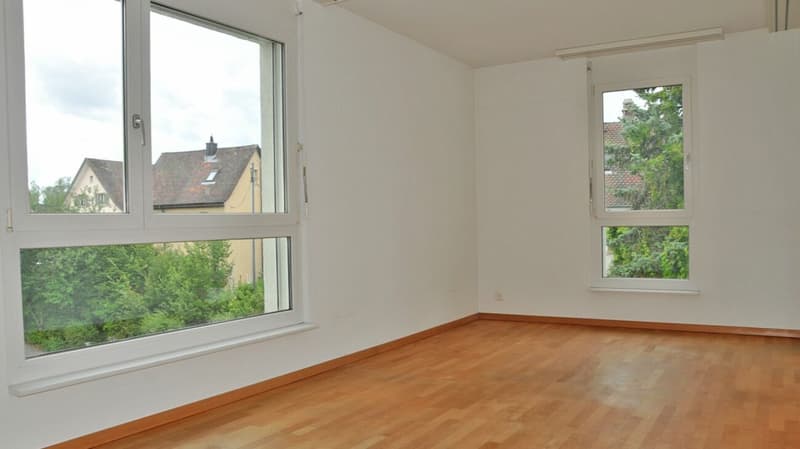 Grosszügige 5.5 Zimmerwohnung im Emmersberg (7)