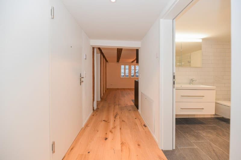 Gemütliche 2.5-Zimmer-Wohnung in Fällanden – sofort verfügbar! (5)