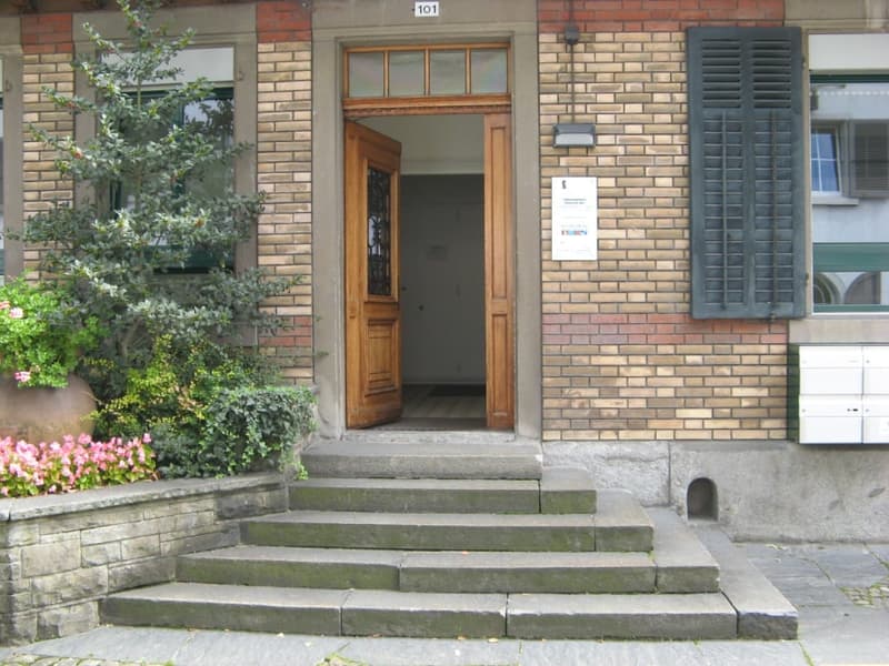 front entrance of a building with brick wall, wooden door, glass windows, black shutters, small garden with potted plants and flowers, steps leading to the entrance