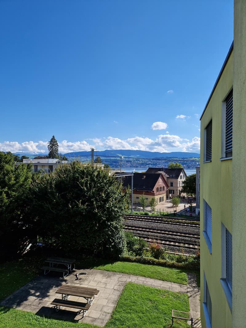 Appartamento di 4 locali luminoso con vista parziale sul lago (7)