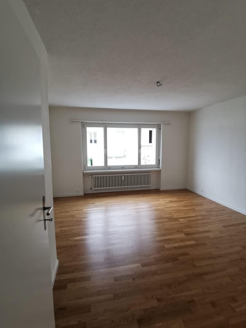 Appartamento di 4 locali luminoso con vista parziale sul lago (5)