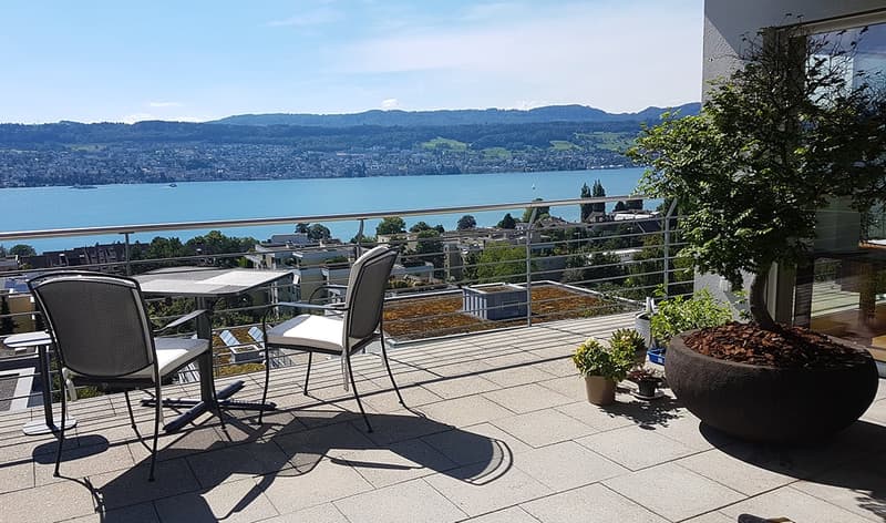 Wohnen über dem Rebberg: Exklusive 5-Zimmer-Attika-Maisonette mit Panoramaseesicht (7)