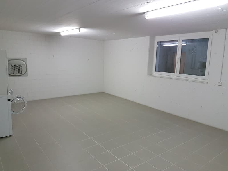 Wohnen über dem Rebberg: Exklusive 5-Zimmer-Attika-Maisonette mit Panoramaseesicht (11)