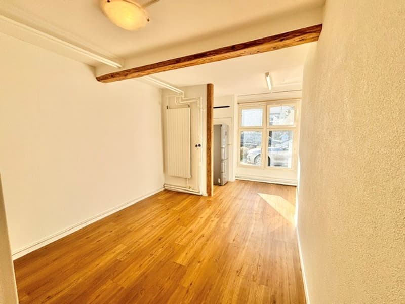 Studio accogliente in posizione centrale a Wetzikon (2)