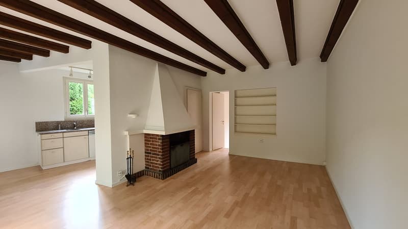 Charmante 2.5-Zimmer-Wohnung am Zeltweg in Zürich (1)