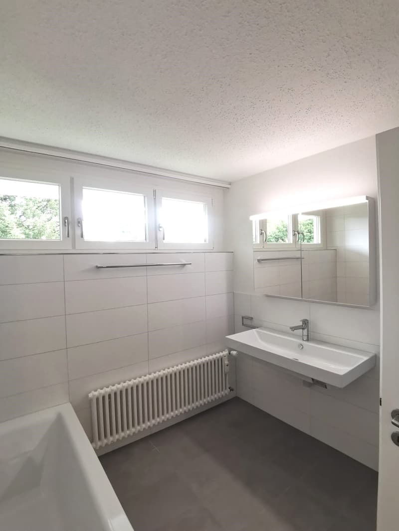Grosszügige Wohnung an ruhiger Lage (6)
