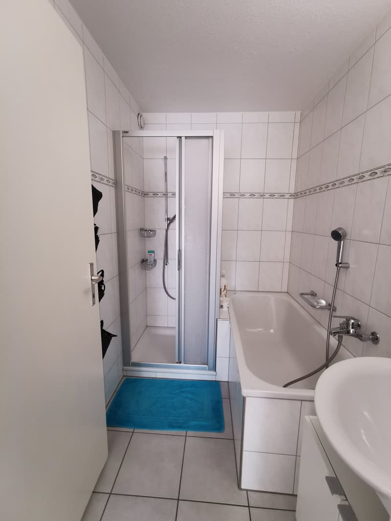 Wohnung an zentraler Lage in Uetikon am See (10)