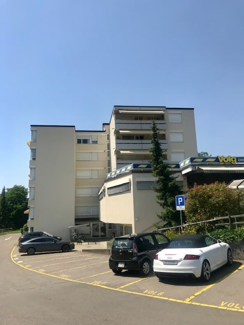 Wohnung an zentraler Lage in Uetikon am See (1)