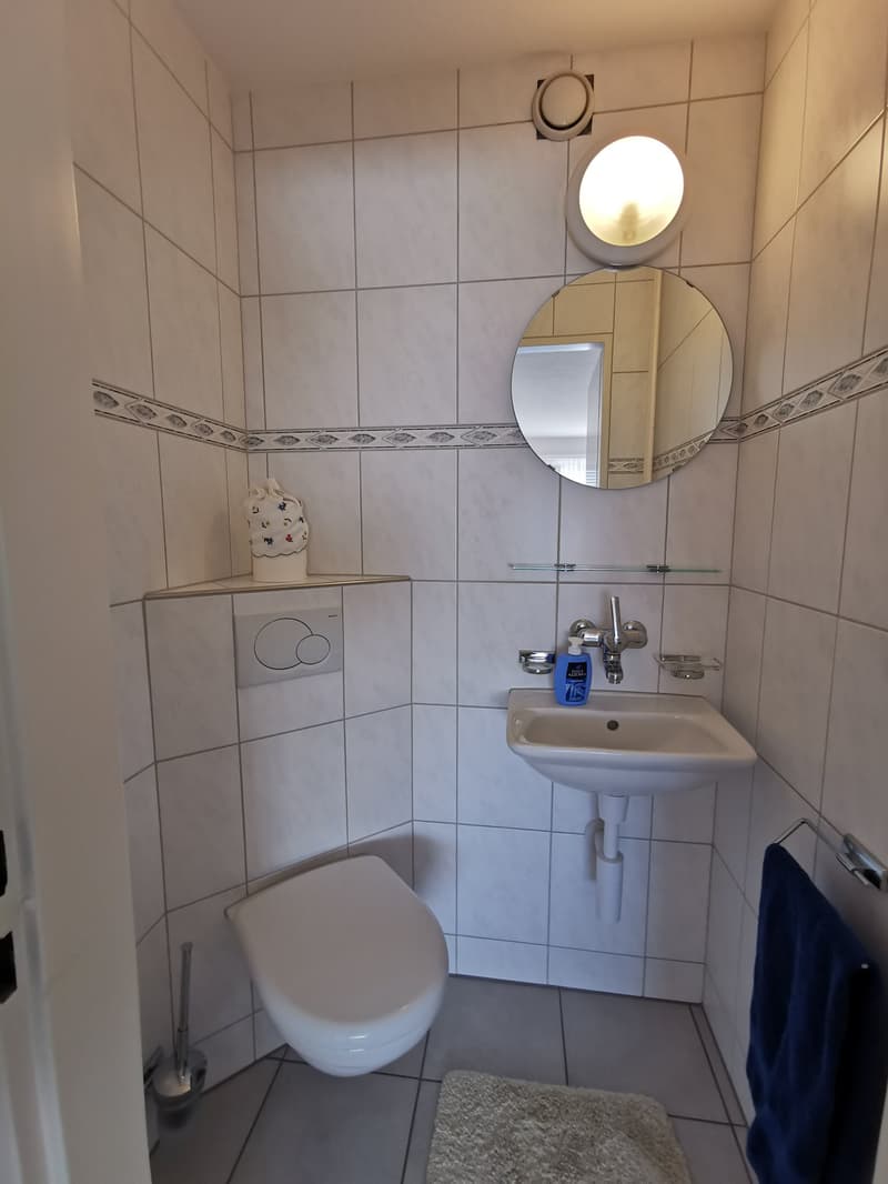 Wohnung an zentraler Lage in Uetikon am See (9)
