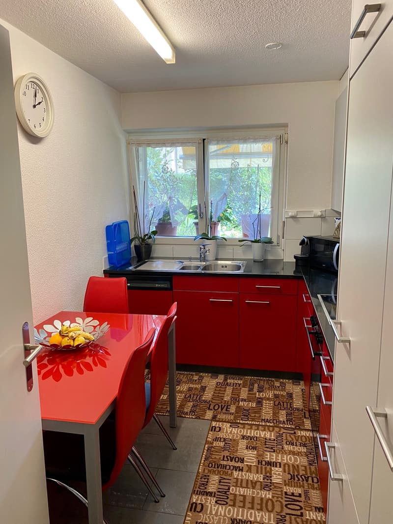 Tolle Wohnung mit eigenem Sitzplatz (4)