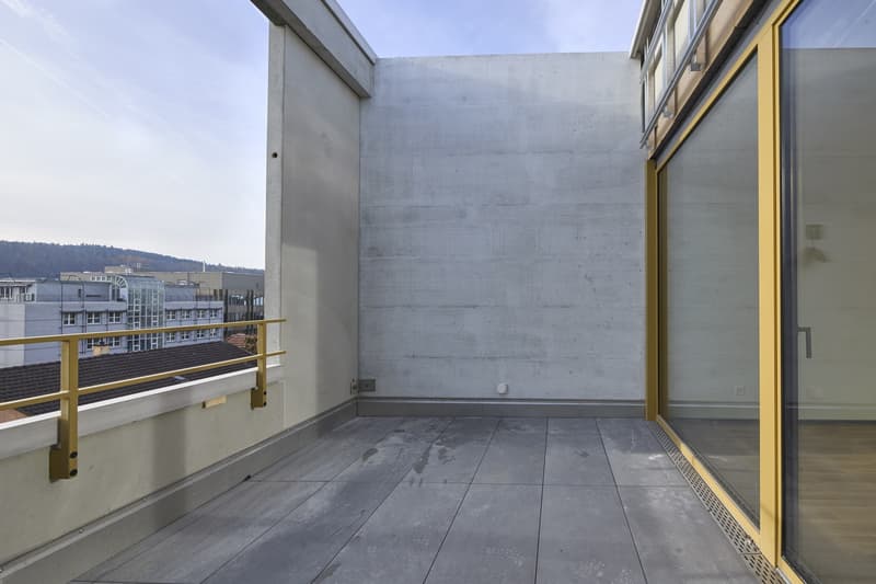 Appartement loft moderne 1.5 pièces avec grande terrasse et loggia (6)