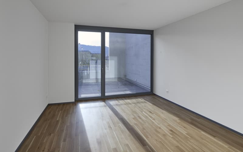 Appartement loft moderne 1.5 pièces avec grande terrasse et loggia (5)