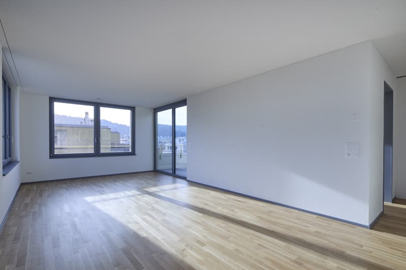 Appartement loft moderne 1.5 pièces avec grande terrasse et loggia (4)
