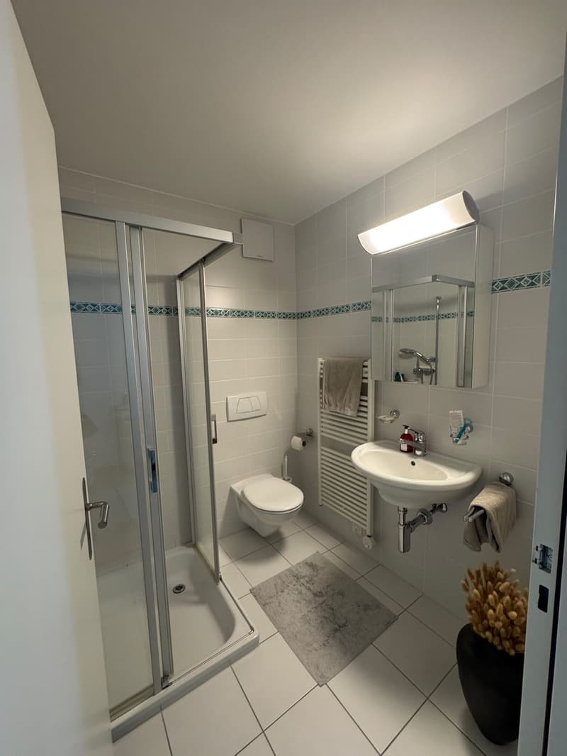 Living with comfort and peace - Well-kept apartment in Männedorf (3)