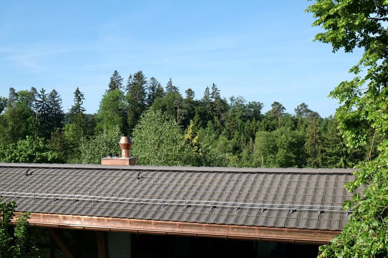 Ausblick