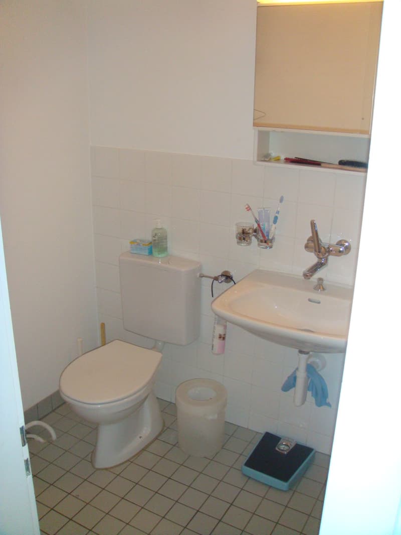Appartement dans un immeuble ancien au cœur de Bâle (3)