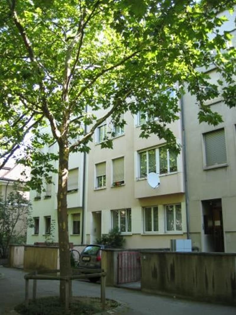 3,5-Zimmer-Wohnung Nähe Tinguely-Museum mit Wintergarten 11 m2 (1)