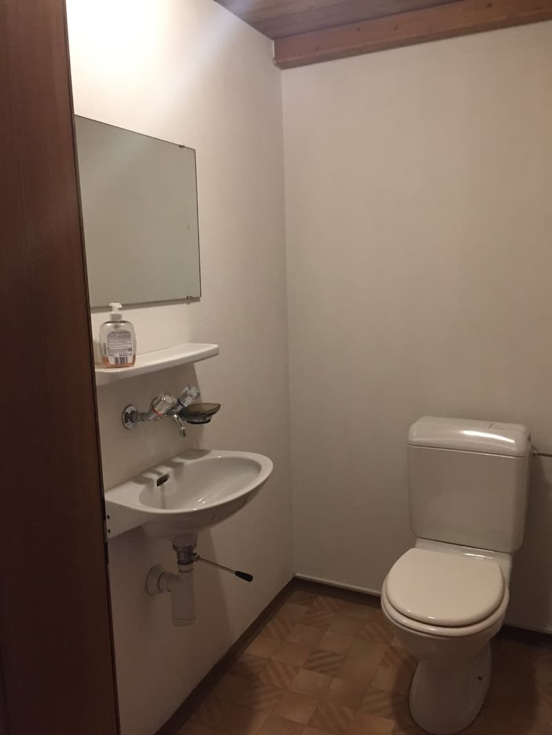 Heimelige 3,5-Zimmer- Altbauwohnung mit Parkplatz und grossem Sitzplatz (6)