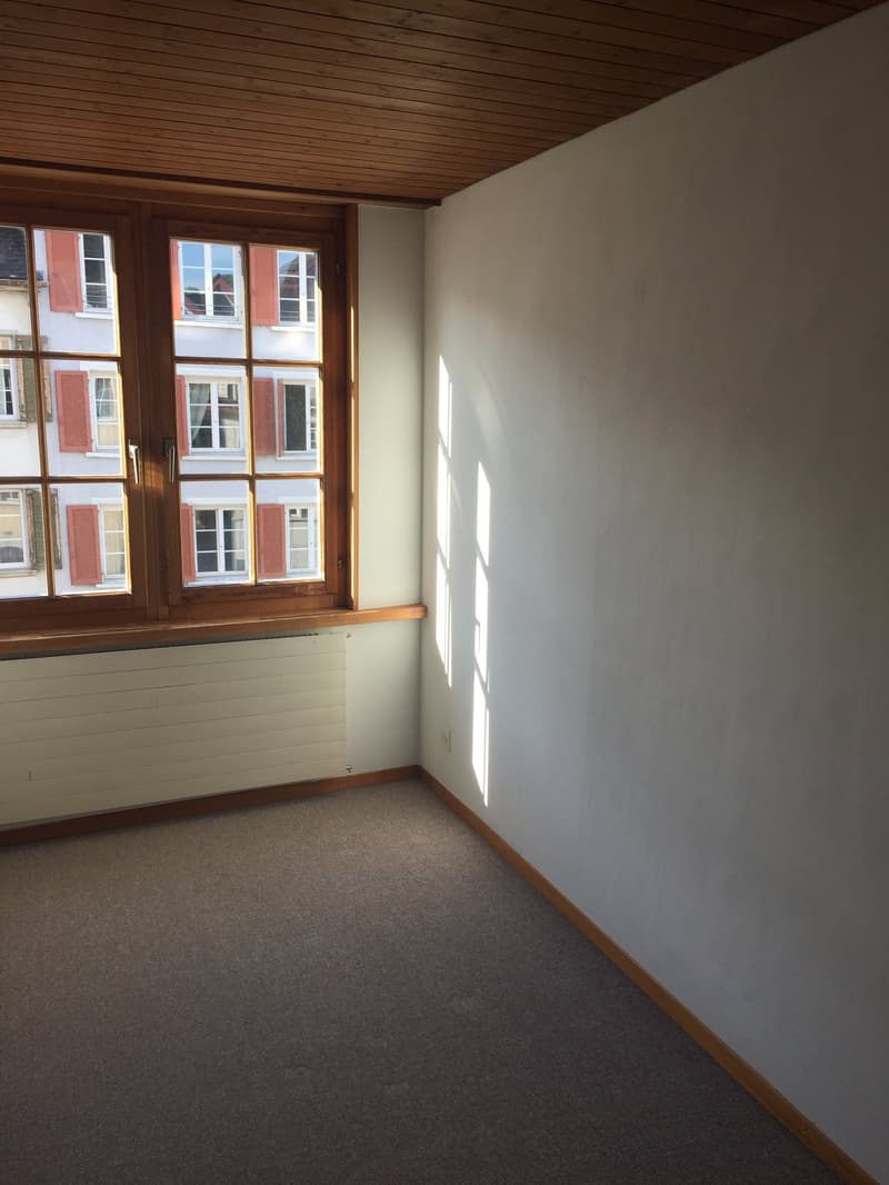 Heimelige 3,5-Zimmer- Altbauwohnung mit Parkplatz und grossem Sitzplatz (8)