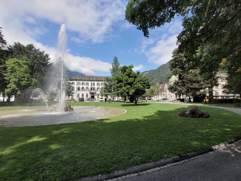 A lush green park with a large fountain in the center, surrounded by trees and buildings. The park has a well-manicured lawn and appears to be a public space in an urban setting.