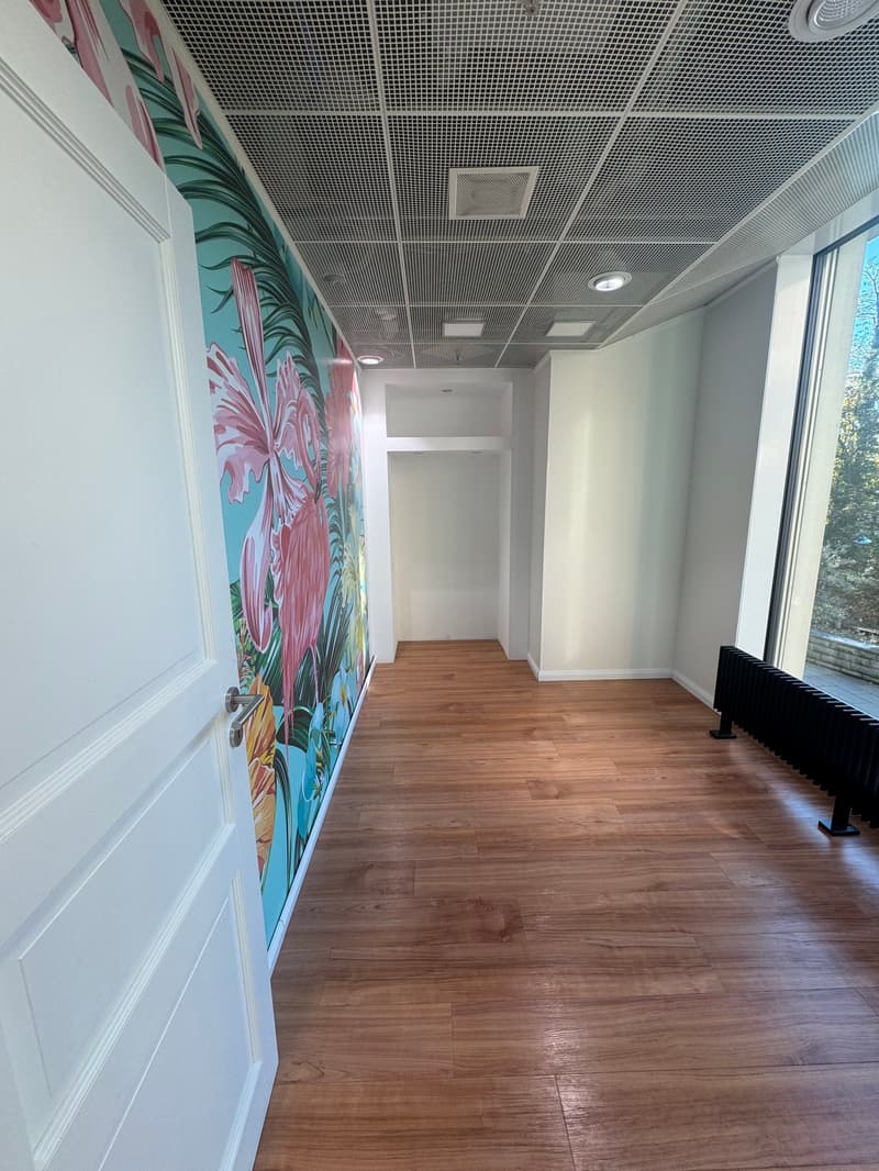 an empty corridor with a wooden floor, large windows on the right, a mural on the left, a ceiling with lights and a metal grid