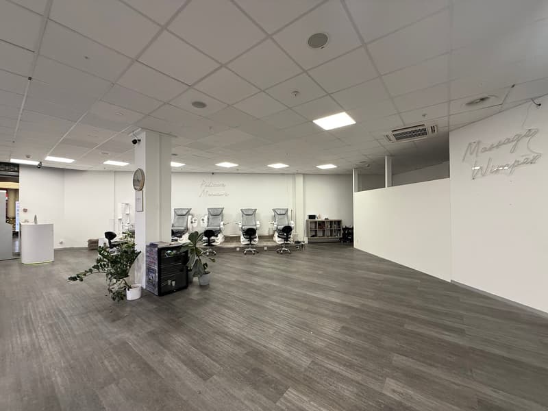 Empty room with white walls, wooden floor, several chairs, plants, and a shelf with items