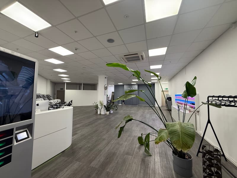 Empty room with white walls, gray flooring, a large plant, a white reception desk, and a monitor.
