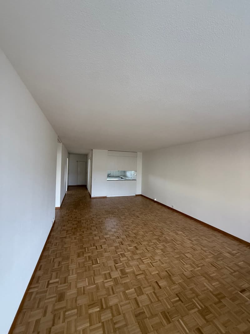Appartamento luminoso 3.5 locali con balcone a Birmensdorf – disponibile immediatamente! (2)