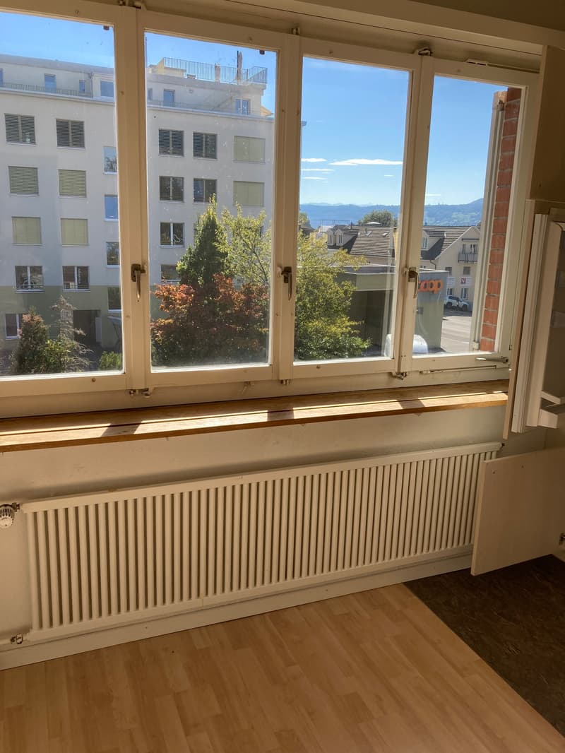 Gemütliche 2.5 Zimmerwohnung in Küsnacht Zürich-Goldküste (10)