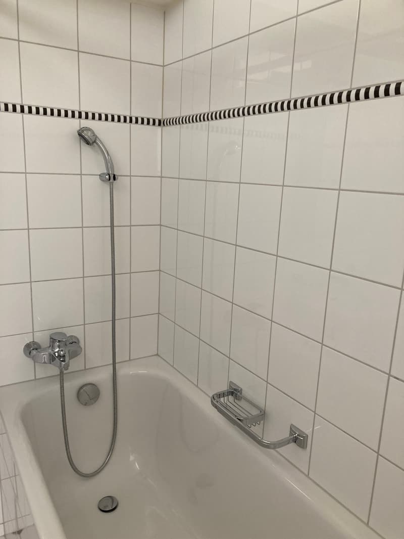 Gemütliche 2.5 Zimmerwohnung in Küsnacht Zürich-Goldküste (4)
