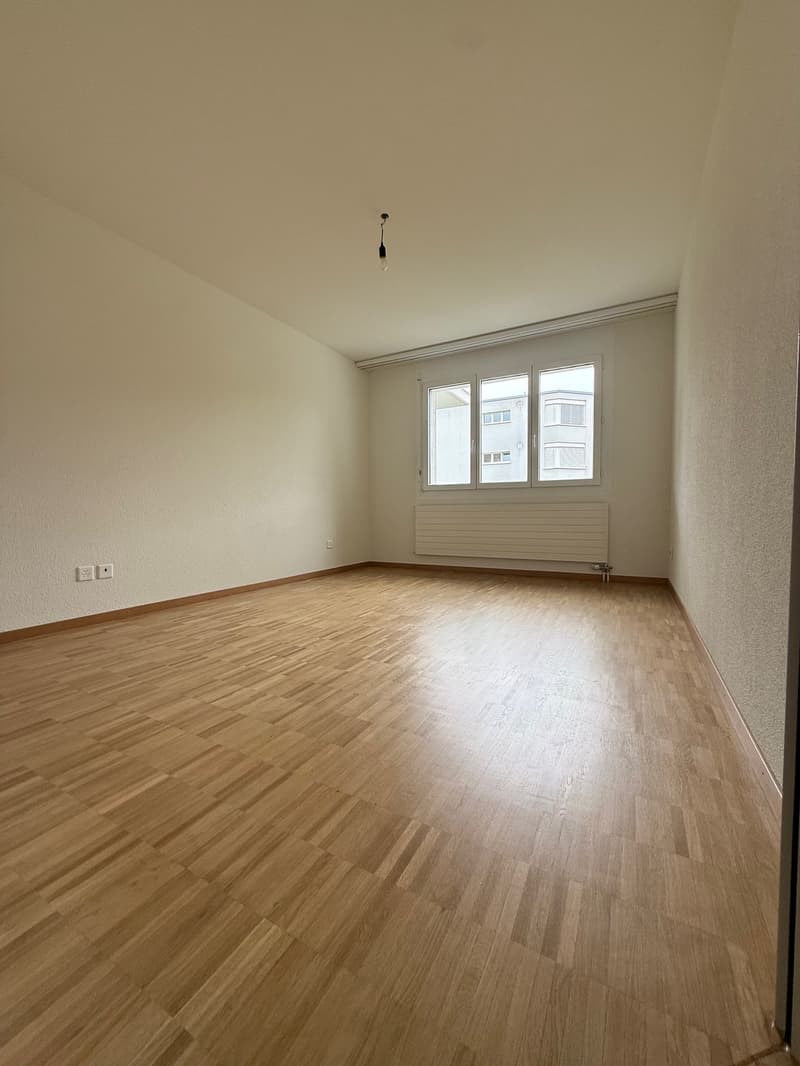 Ruhige Wohnung an bester Lage in Schlieren (7)