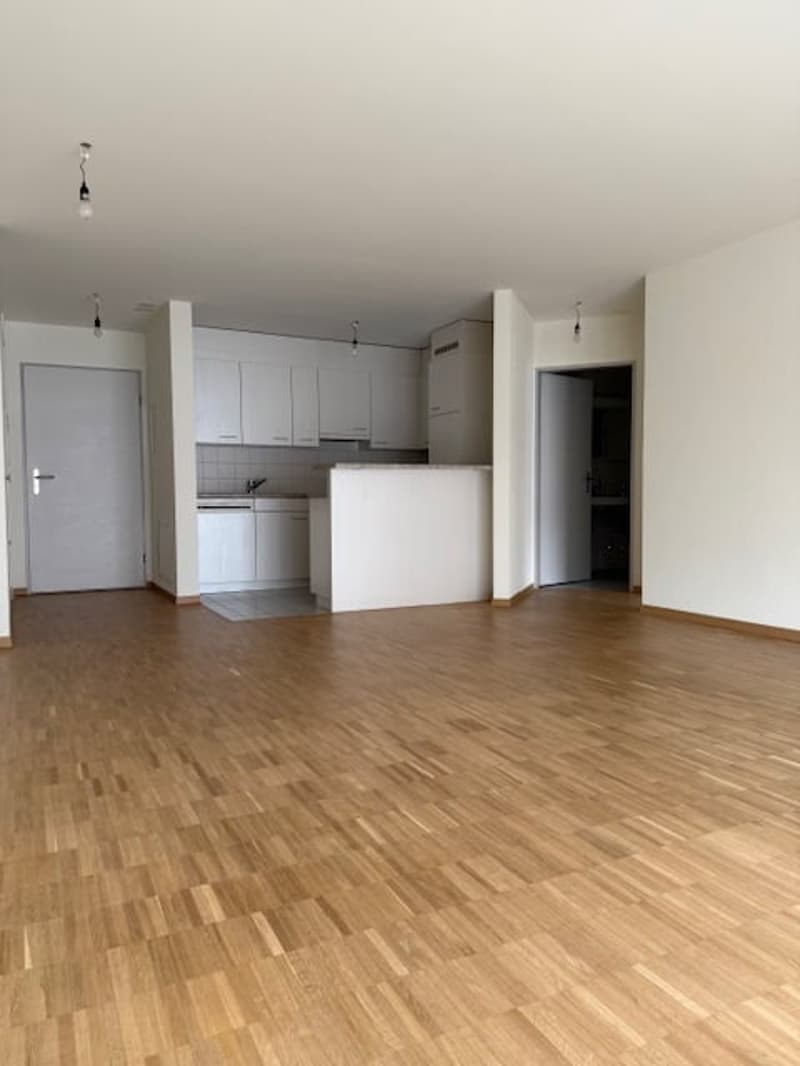 Ruhige Wohnung an bester Lage in Schlieren (4)