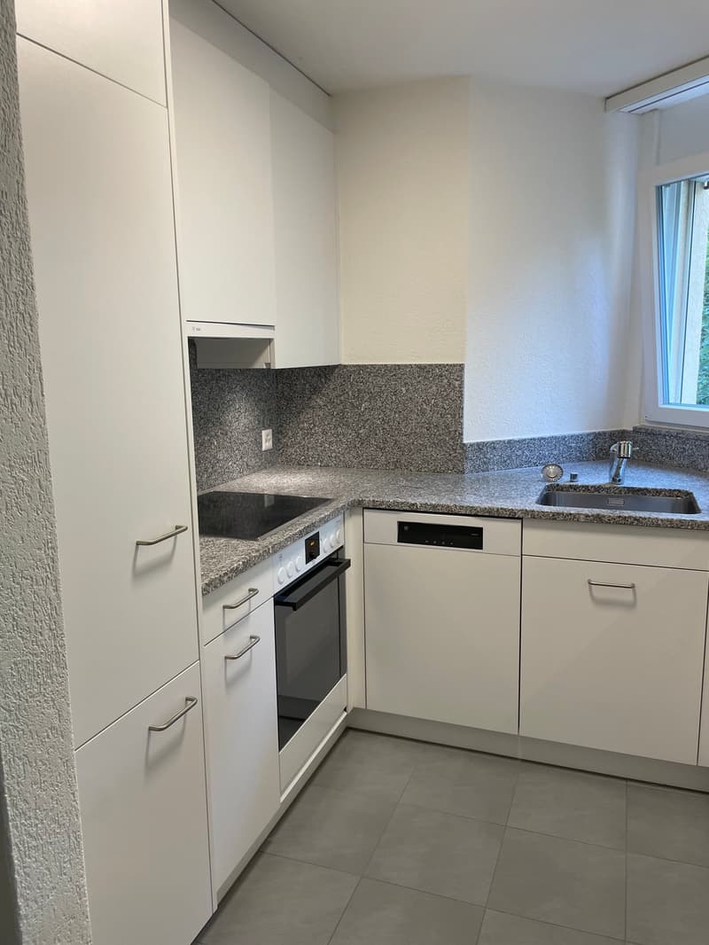 Bright apartment in a quiet location (1)