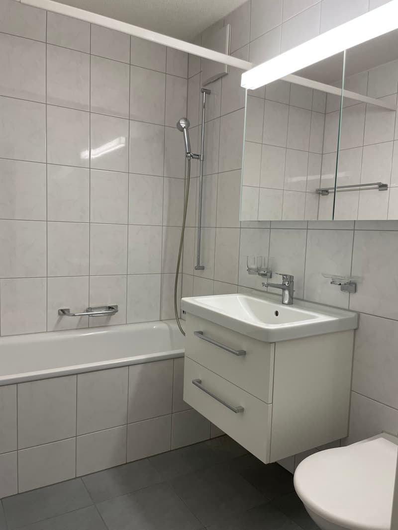 Bright apartment in a quiet location (4)