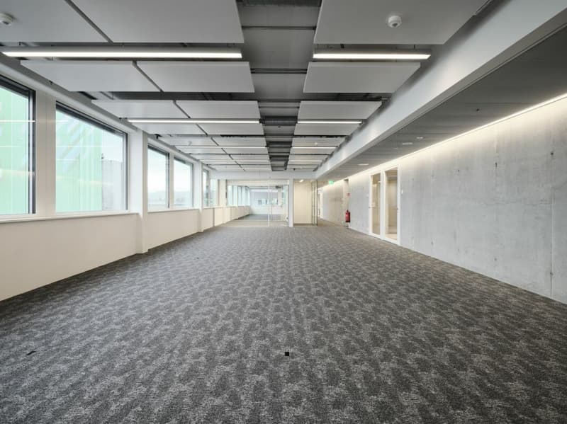 Vollausgebaute Büroflächen im Life Science-Cluster Stücki Park (4)
