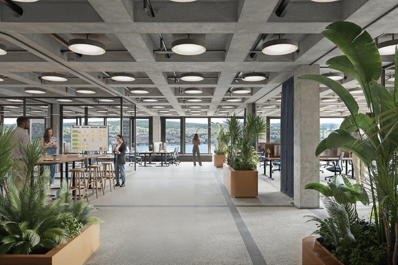 Large office room with high ceilings, large windows, white desks, many plants, modern lamps