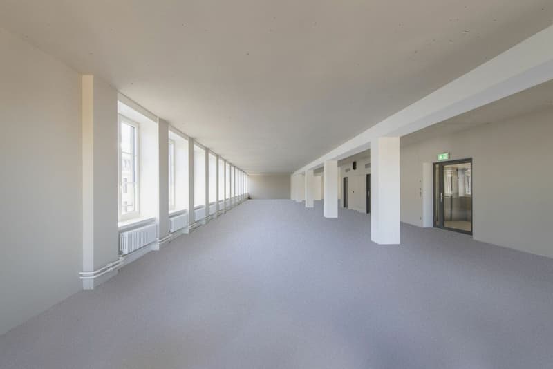 Espaces de bureaux au cœur de Zurich (3)