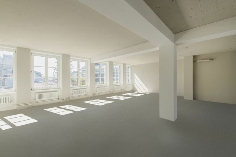Espaces de bureaux au cœur de Zurich (6)