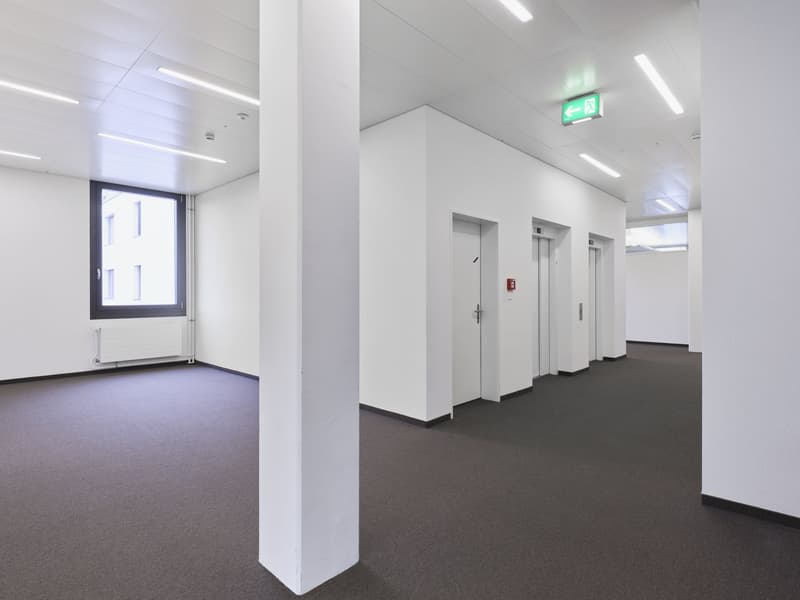 The image shows a modern, minimalist office space with white walls, recessed lighting, and a carpeted floor. There are several doors leading to other rooms or offices, and a window providing natural light. The space appears to be designed for professional