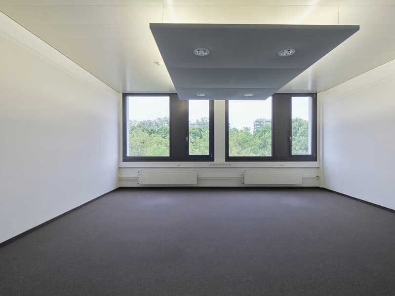 Large open room with white walls, gray ceiling, and black framed windows overlooking a green outdoor area. The room has a gray carpeted floor and appears to be set up as an office or workspace.