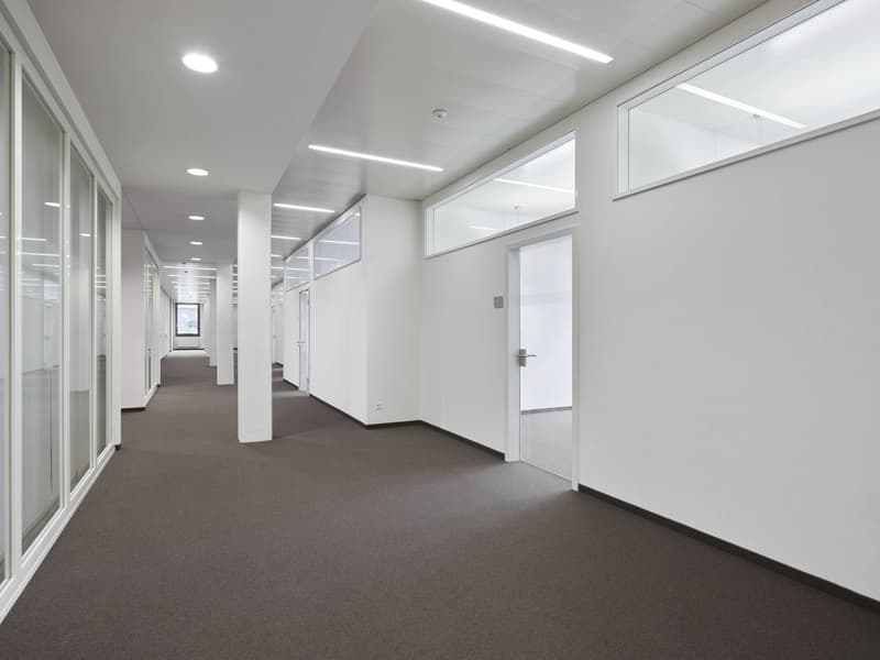 The image shows a modern, minimalist office space with a long, well-lit hallway. The walls are painted in a light, neutral color, and the floors are covered in a dark gray carpet. The hallway is lined with glass-paneled doors, allowing natural light to fl