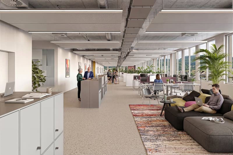 modern office space with large windows, carpeted floor, desks, chairs, plants, and a couch area