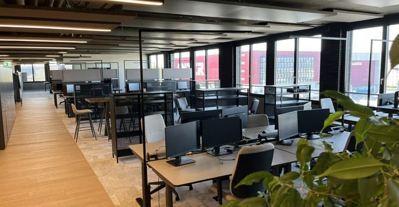 Open office plan, glass partitions, several workstations, computers, and office chairs, white ceiling, wooden flooring, natural light from large windows