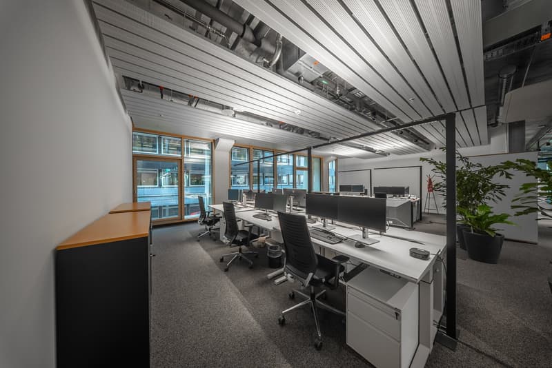 Modern office with multiple desks, chairs, monitors, keyboards, mice, plants, gray flooring, and large windows.