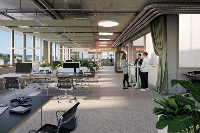 office space, desks, chairs, computers, plants, open space layout