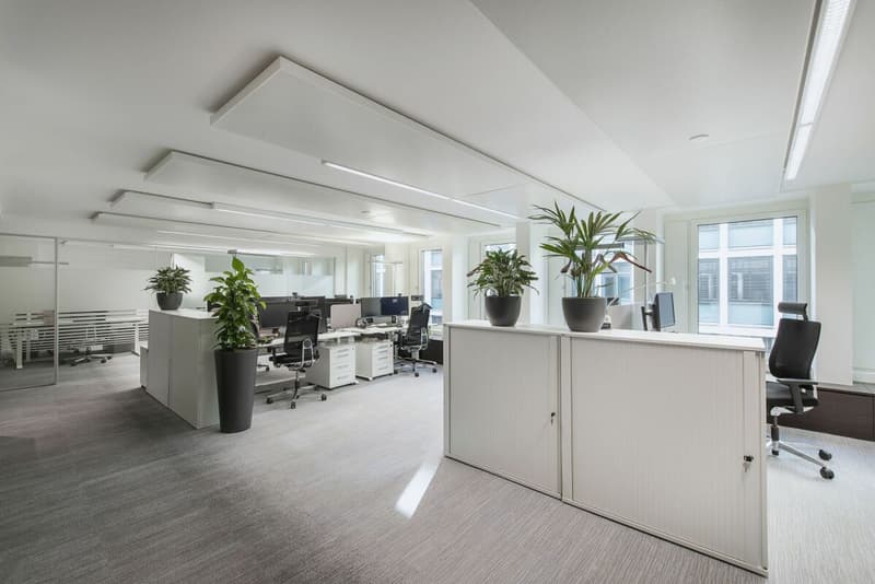 DIANA HOUSE - La tua esclusiva indirizzo di ufficio nel CBD (3)