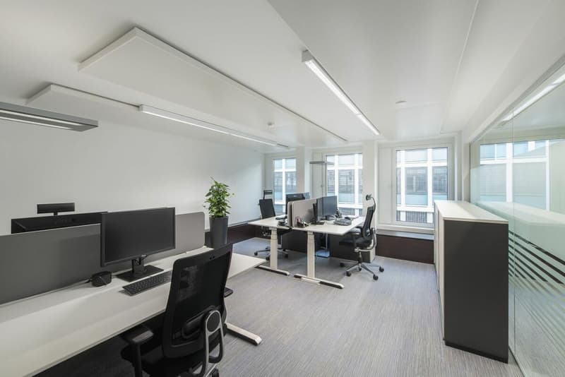 DIANA HOUSE - La tua esclusiva indirizzo di ufficio nel CBD (5)