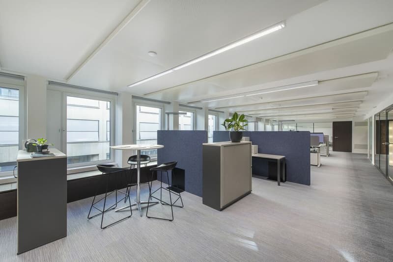 DIANA HOUSE - La tua esclusiva indirizzo di ufficio nel CBD (7)
